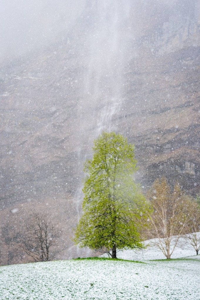 Snowy Ambience